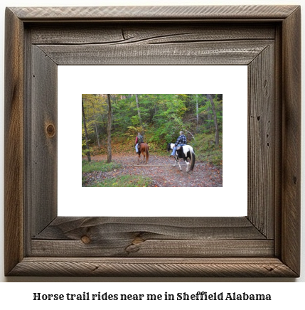 horse trail rides near me in Sheffield, Alabama